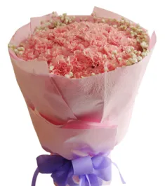 33 Pink Carnations