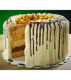 Mango Bravo by Contis Cake (Best Seller )