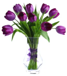 10 pcs purple holland tulip in glass vase to philippines