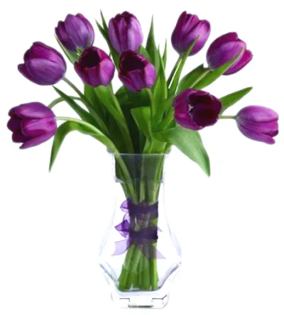 10 pcs purple holland tulip in glass vase to philippines