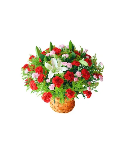 36 Red Carnations and 2 Perfume White lilies