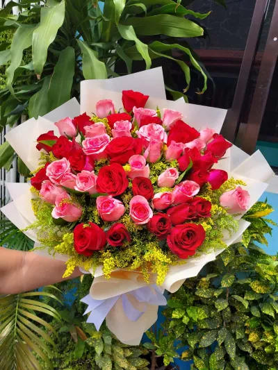 36 red and pink roses